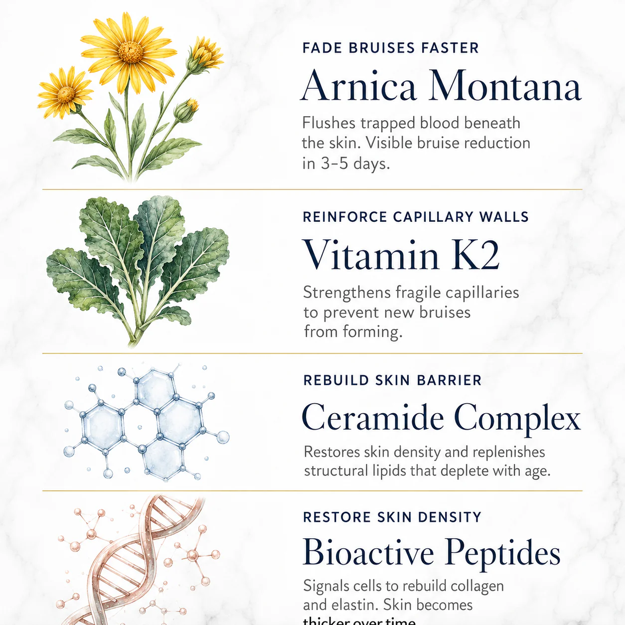 Novalys Bruise Recovery Cream featuring Arnica, Vitamin K, and Calendula