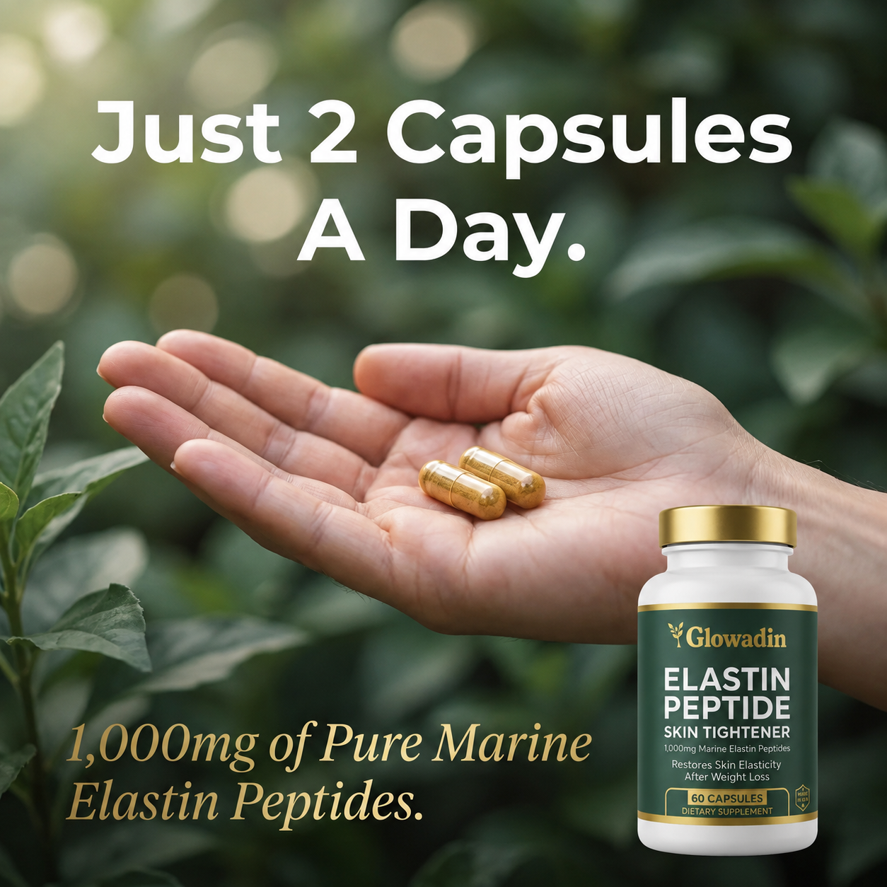 Glowadin Elastin Peptide
