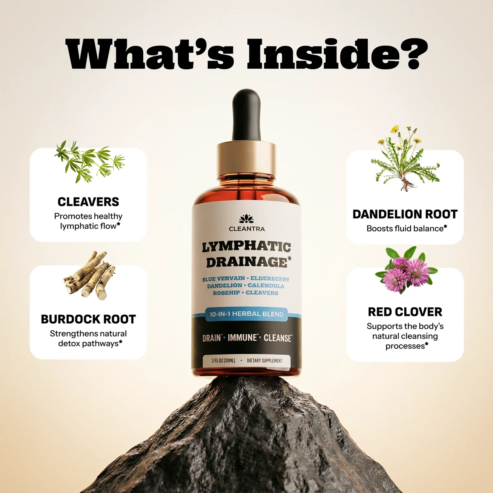Cleantra 30 ml herbal dropper supplement