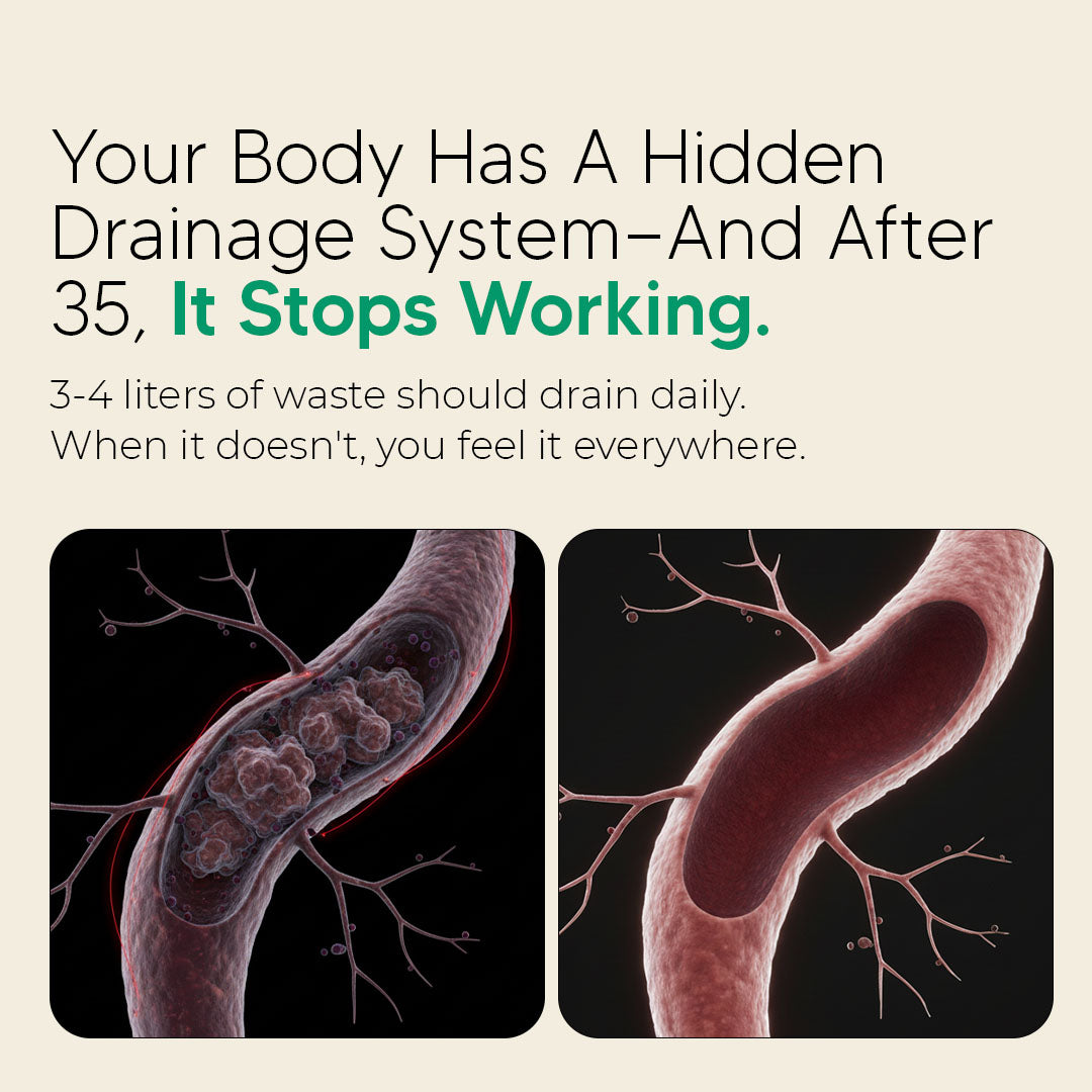 Sculptique™ lymphatic support capsules
