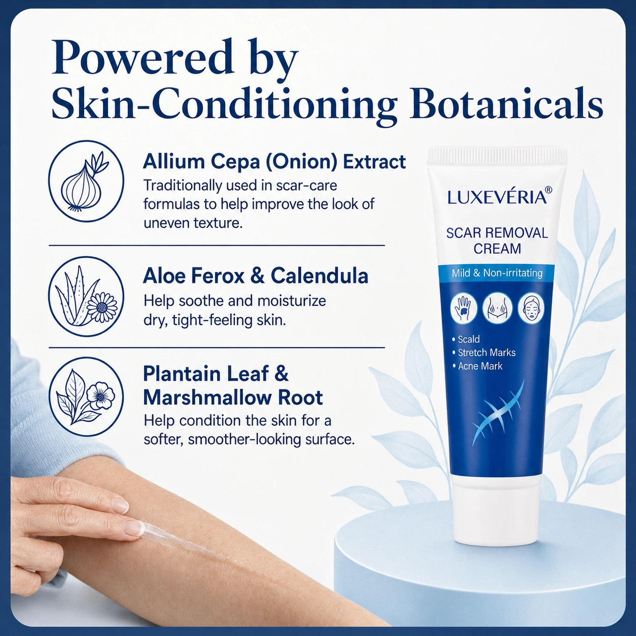 Luxevéria® Scar Removal Cream with onion extract and calendula