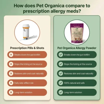 Pet Organica Co. mushroom powder supplement for dogs