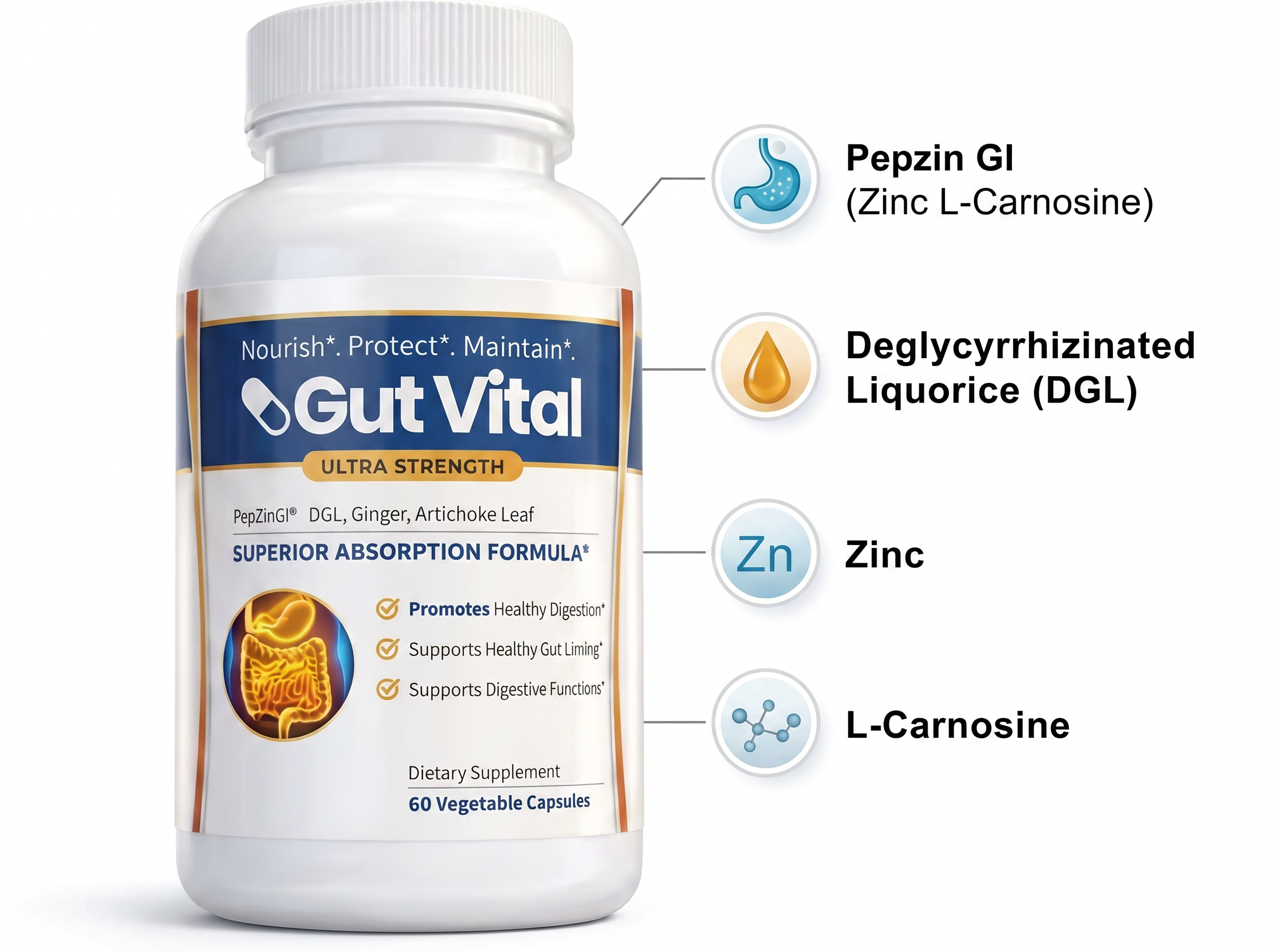 Gut Vital™ daily digestive supplement
