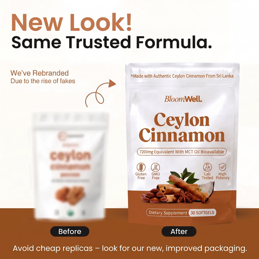BloomWell Cinnamomum verum concentrated cinnamon extract