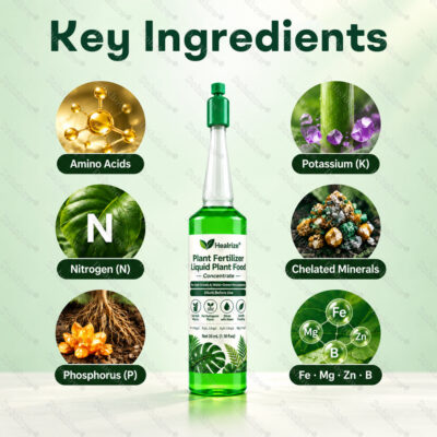 Healrize® Plant Fertilizer Liquid Plant Food Concentrate 33 mL bottle