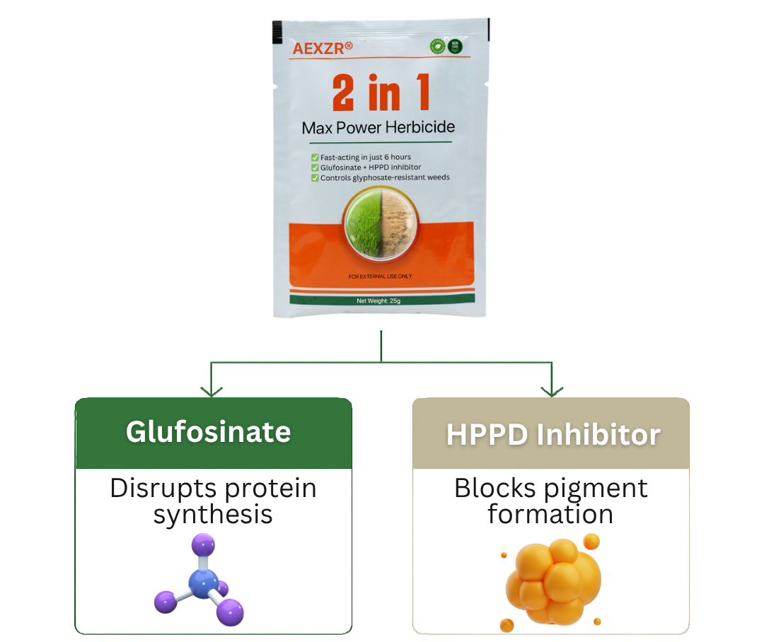 AEXZR® 2-in-1 Max Power Herbicide with 75% glufosinate-ammonium