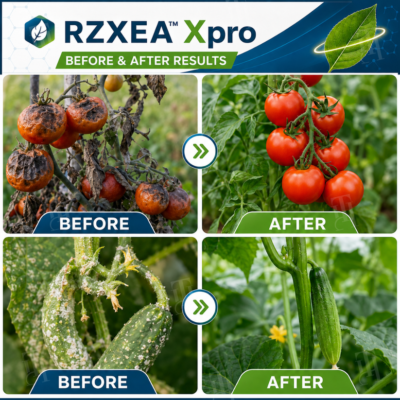 RZXEA™ Xpro Prothioconazole Systemic Fungicide FRAC Group 3 classification