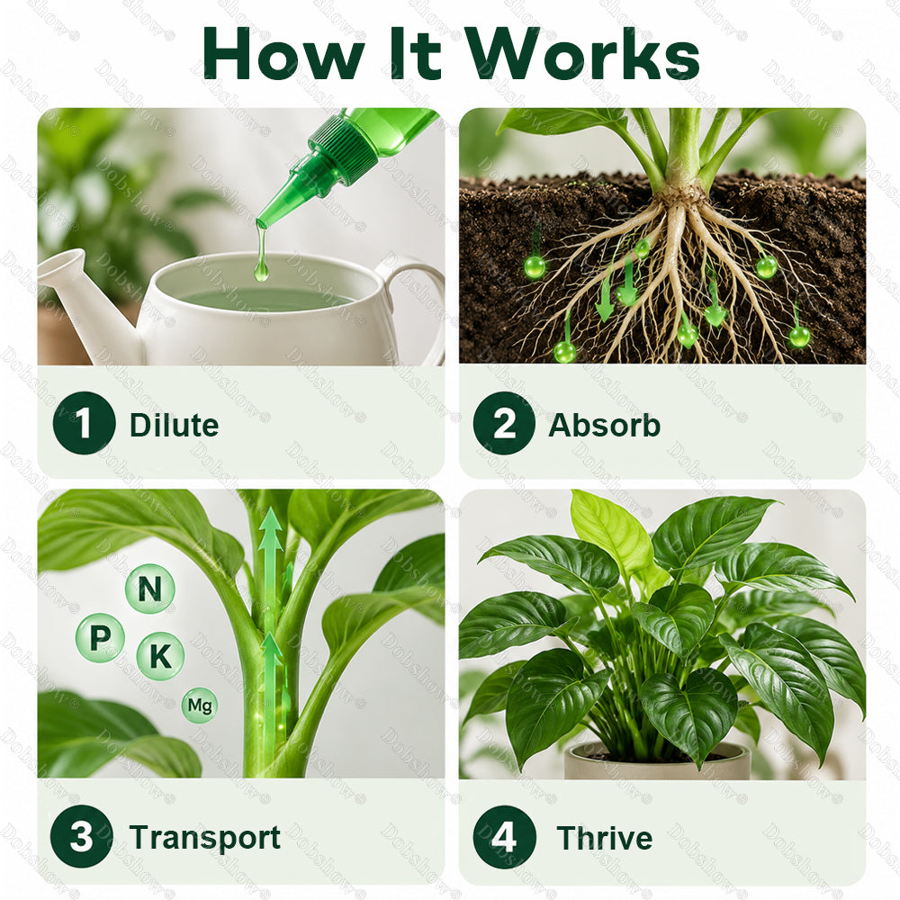Healrize® Plant Fertilizer Liquid Plant Food Concentrate