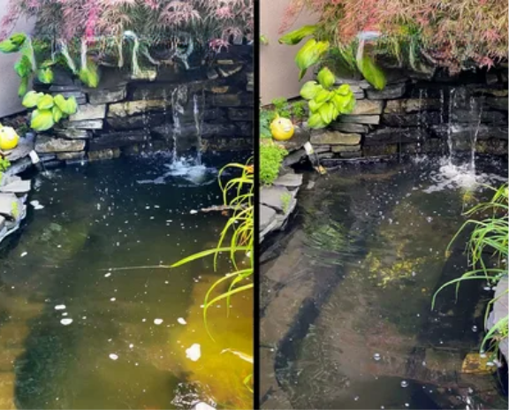 AquaClair™ Nettoyant pour bassin traitement de l’eau