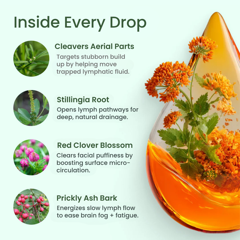Nutrivena lymphatic drops with prickly ash bark and stillingia root