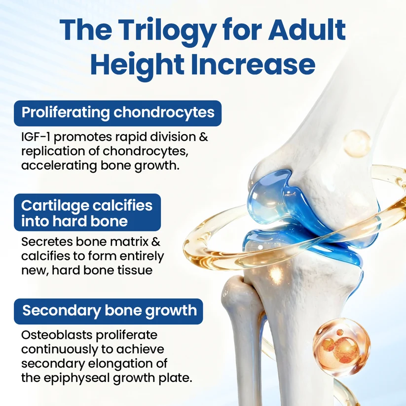Healrize® GH-Support Height Spray for direct knee-area application