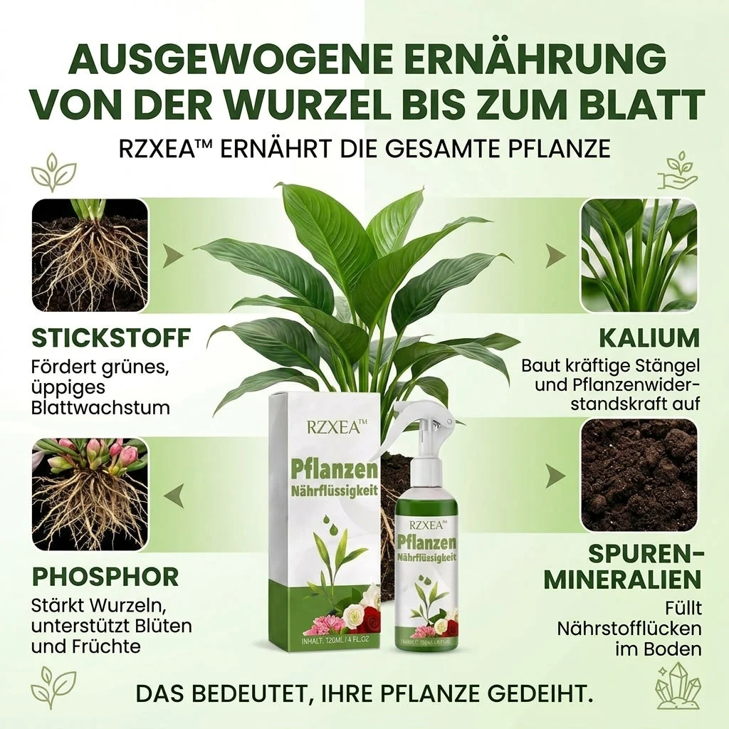 RZXEA vorgemischte Nährlösung zur direkten Anwendung aus der Flasche