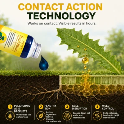 RZXEA RapidBurn formula with a water-soluble base for dilution